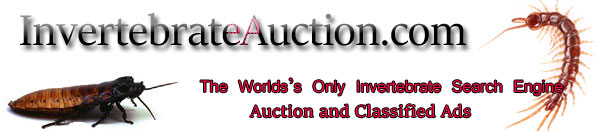 Invertebrateauction.com